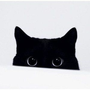 Meet your Posher, Jocelyn